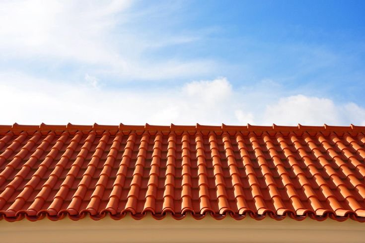 whatsapp image 2025 12 29 at 5.50.45 am